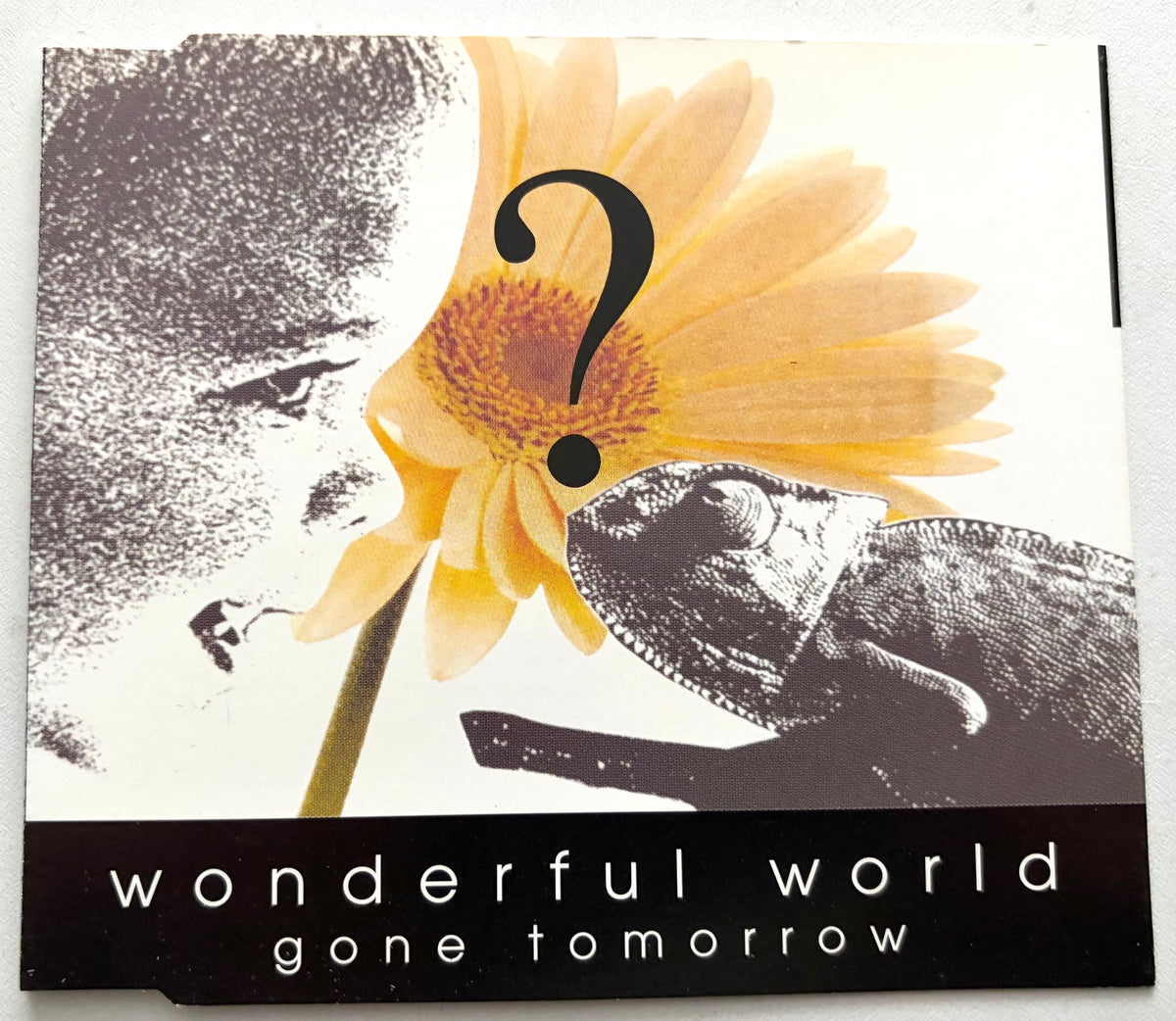 Gone Tomorrow - Wonderful World - CD Single (1994)