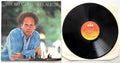 Art Garfunkel - The Art Garfunkel Album - LP 12" Vinyl Album (1984)