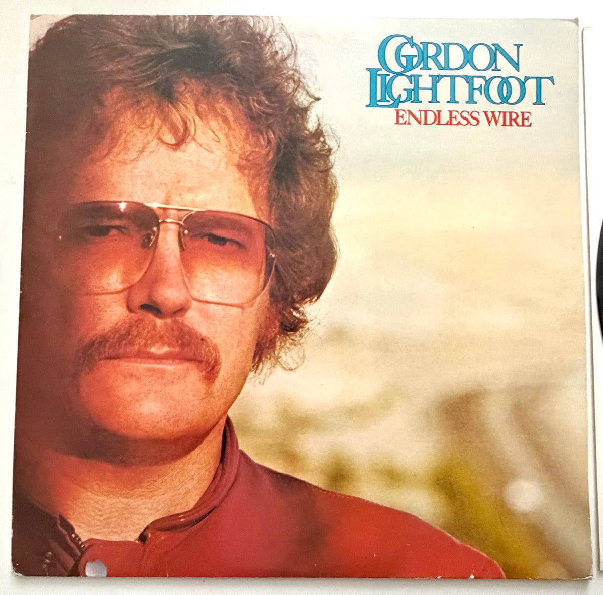 Gordon Lightfoot - Endless Wire - LP 12" Vinyl (1978)