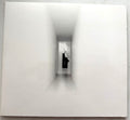 Third Eye Blind - Dopamine - CD Album (2015)