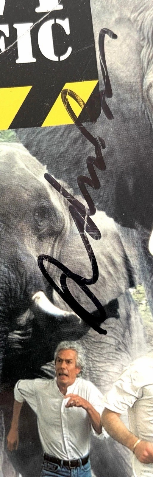 Status Quo 2002 Heavy Traffic Signed Autographed Tour Programme